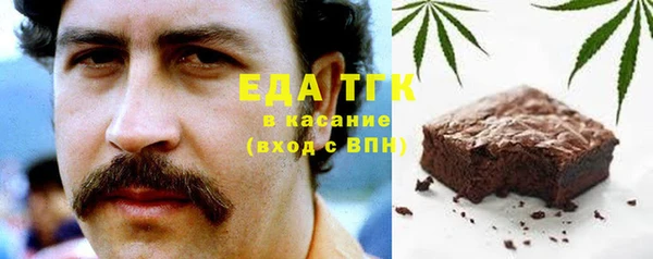шишки Верея