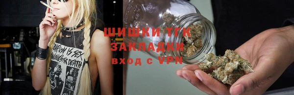 шишки Верея