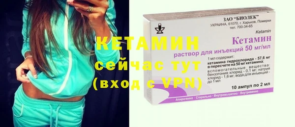 шишки Верея