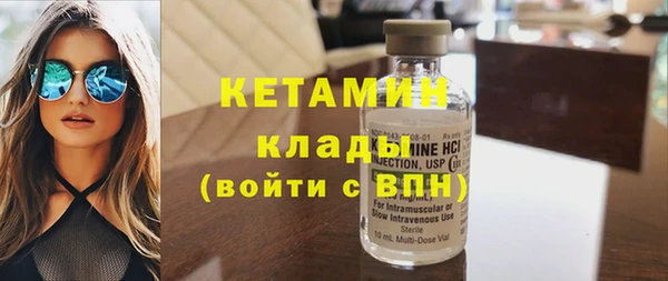 шишки Верея