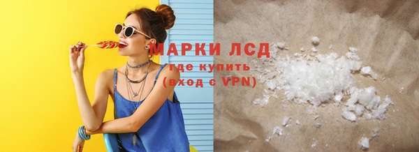 шишки Верея