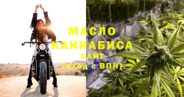 шишки Верея