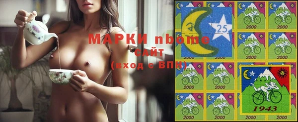 шишки Верея