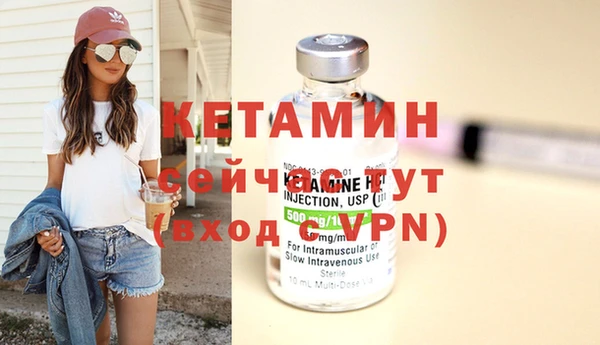 шишки Верея