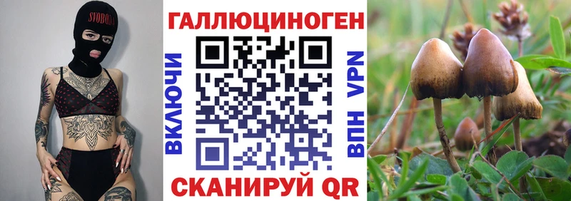 Псилоцибиновые грибы GOLDEN TEACHER  наркота  Нюрба 